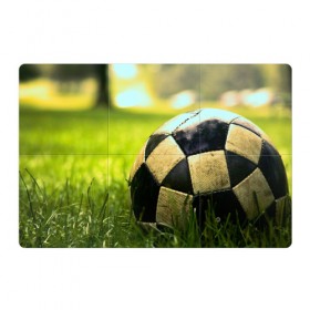 Магнитный плакат 3Х2 с принтом Футбол в Тюмени, Полимерный материал с магнитным слоем | 6 деталей размером 9*9 см | стадион | футбольное поле | футбольный мяч