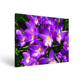 Холст прямоугольный с принтом Сиреневая прелесть в Тюмени, 100% ПВХ |  | лепестки | прикольные картинки | сиреневый | цветочки | цветы