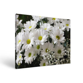 Холст прямоугольный с принтом Белоснежное цветение в Тюмени, 100% ПВХ |  | ландыши | лепестки | прикольные картинки | ромашки | цветочки | цветы