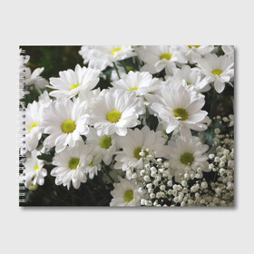 Альбом для рисования с принтом Белоснежное цветение в Тюмени, 100% бумага
 | матовая бумага, плотность 200 мг. | Тематика изображения на принте: ландыши | лепестки | прикольные картинки | ромашки | цветочки | цветы