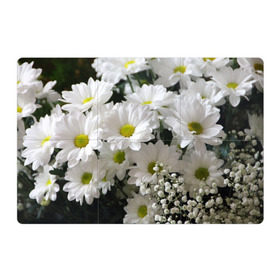 Магнитный плакат 3Х2 с принтом Белоснежное цветение в Тюмени, Полимерный материал с магнитным слоем | 6 деталей размером 9*9 см | ландыши | лепестки | прикольные картинки | ромашки | цветочки | цветы