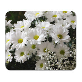 Коврик прямоугольный с принтом Белоснежное цветение в Тюмени, натуральный каучук | размер 230 х 185 мм; запечатка лицевой стороны | ландыши | лепестки | прикольные картинки | ромашки | цветочки | цветы