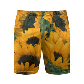 Мужские шорты 3D спортивные с принтом Подсолнухи в Тюмени,  |  | желтый | зеленый | лето | подсолнухи | цветы | черный