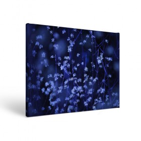 Холст прямоугольный с принтом Ночные цветы в Тюмени, 100% ПВХ |  | лепестки | ночь | прикольные картинки | синий | цветочки | цветы