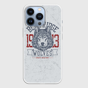 Чехол для iPhone 13 Pro с принтом Team t shirt в Тюмени,  |  | american football | baseball | fashion | football | sport | sport league | style | team | west | американский футбол | бейсбол | запад | команды | мода | надписи | спорт | спортивные лиги | стиль | футбол | футбольные лиги