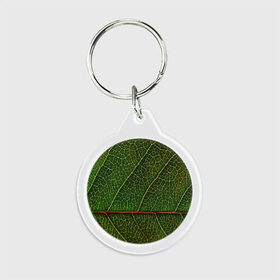 Брелок круглый с принтом Листик в Тюмени, пластик и полированная сталь | круглая форма, металлическое крепление в виде кольца | дерево | зеленый | зелень | лист | природа | растения