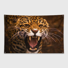 Флаг-баннер с принтом Леопард в Тюмени, 100% полиэстер | размер 67 х 109 см, плотность ткани — 95 г/м2; по краям флага есть четыре люверса для крепления | дикая кошка | клыки | леопард | оскал | хищник