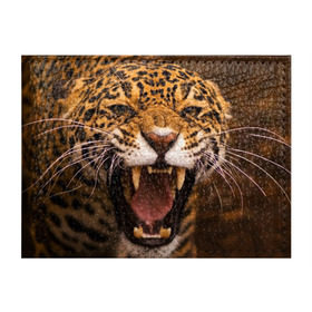Обложка для студенческого билета с принтом Леопард в Тюмени, натуральная кожа | Размер: 11*8 см; Печать на всей внешней стороне | дикая кошка | клыки | леопард | оскал | хищник