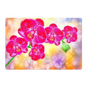 Магнитный плакат 3Х2 с принтом Орхидея в Тюмени, Полимерный материал с магнитным слоем | 6 деталей размером 9*9 см | лепесток | орхидея | природа | цветок | яркая
