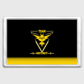 Магнит 45*70 с принтом Team Instinct в Тюмени, Пластик | Размер: 78*52 мм; Размер печати: 70*45 | Тематика изображения на принте: go | instinct | pokemon | team | покемон