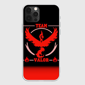 Чехол для iPhone 12 Pro с принтом Team Valor в Тюмени, силикон | область печати: задняя сторона чехла, без боковых панелей | go | pokemon | team | valor | покемон