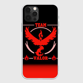 Чехол для iPhone 12 Pro Max с принтом Team Valor в Тюмени, Силикон |  | go | pokemon | team | valor | покемон