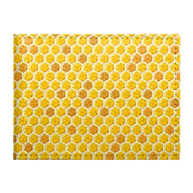 Обложка для студенческого билета с принтом Медовые соты в Тюмени, натуральная кожа | Размер: 11*8 см; Печать на всей внешней стороне | Тематика изображения на принте: арт | еда | мед | пчелы | соты