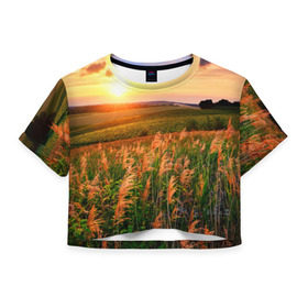 Женская футболка 3D укороченная с принтом Родные просторы в Тюмени, 100% полиэстер | круглая горловина, длина футболки до линии талии, рукава с отворотами | Тематика изображения на принте: sunrise | sunset | восход | деревня | закат | луг | небо | облака | поле | природа | солнце | цветы