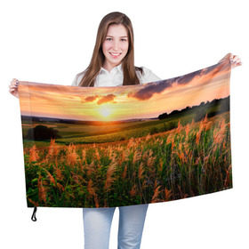 Флаг 3D с принтом Родные просторы в Тюмени, 100% полиэстер | плотность ткани — 95 г/м2, размер — 67 х 109 см. Принт наносится с одной стороны | sunrise | sunset | восход | деревня | закат | луг | небо | облака | поле | природа | солнце | цветы