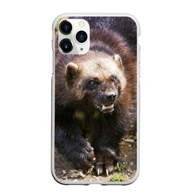 Чехол для iPhone 11 Pro матовый с принтом Росомаха в Тюмени, Силикон |  | животные | лес | медведи | охота | природа | туризм