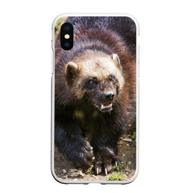 Чехол для iPhone XS Max матовый с принтом Росомаха в Тюмени, Силикон | Область печати: задняя сторона чехла, без боковых панелей | животные | лес | медведи | охота | природа | туризм