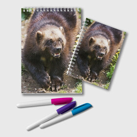 Блокнот с принтом Росомаха в Тюмени, 100% бумага | 48 листов, плотность листов — 60 г/м2, плотность картонной обложки — 250 г/м2. Листы скреплены удобной пружинной спиралью. Цвет линий — светло-серый
 | Тематика изображения на принте: животные | лес | медведи | охота | природа | туризм
