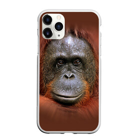 Чехол для iPhone 11 Pro матовый с принтом Обезьяна в Тюмени, Силикон |  | Тематика изображения на принте: животные | о.м.с.к. | обезьяна | орангутанг