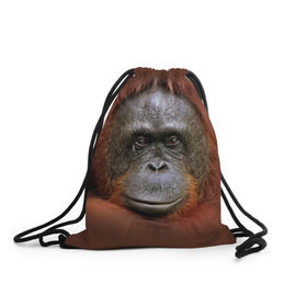 Рюкзак-мешок 3D с принтом Обезьяна в Тюмени, 100% полиэстер | плотность ткани — 200 г/м2, размер — 35 х 45 см; лямки — толстые шнурки, застежка на шнуровке, без карманов и подкладки | животные | о.м.с.к. | обезьяна | орангутанг