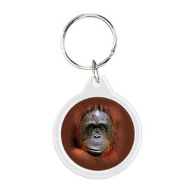 Брелок круглый с принтом Обезьяна в Тюмени, пластик и полированная сталь | круглая форма, металлическое крепление в виде кольца | животные | о.м.с.к. | обезьяна | орангутанг