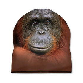 Шапка 3D с принтом Обезьяна в Тюмени, 100% полиэстер | универсальный размер, печать по всей поверхности изделия | животные | о.м.с.к. | обезьяна | орангутанг