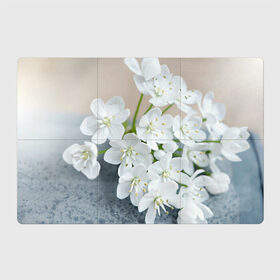 Магнитный плакат 3Х2 с принтом Белые цветочки 3 в Тюмени, Полимерный материал с магнитным слоем | 6 деталей размером 9*9 см | белый | цветок | цветы