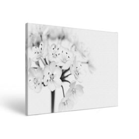 Холст прямоугольный с принтом Белые цветочки 5 в Тюмени, 100% ПВХ |  | белый | цветок | цветы
