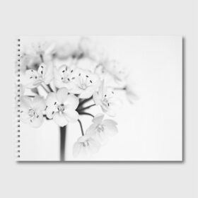 Альбом для рисования с принтом Белые цветочки 5 в Тюмени, 100% бумага
 | матовая бумага, плотность 200 мг. | белый | цветок | цветы