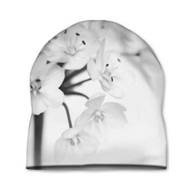 Шапка 3D с принтом Белые цветочки 5 в Тюмени, 100% полиэстер | универсальный размер, печать по всей поверхности изделия | Тематика изображения на принте: белый | цветок | цветы