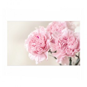 Бумага для упаковки 3D с принтом Розовый цветок 5 в Тюмени, пластик и полированная сталь | круглая форма, металлическое крепление в виде кольца | розовый | цветок | цветы