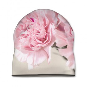 Шапка 3D с принтом Розовый цветок 5 в Тюмени, 100% полиэстер | универсальный размер, печать по всей поверхности изделия | Тематика изображения на принте: розовый | цветок | цветы