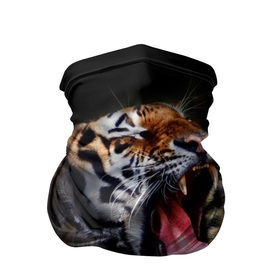 Бандана-труба 3D с принтом Оскал тигра в Тюмени, 100% полиэстер, ткань с особыми свойствами — Activecool | плотность 150‒180 г/м2; хорошо тянется, но сохраняет форму | дикая кошка | пасть | тигр | хищник
