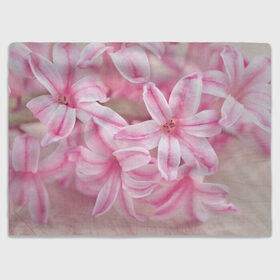 Плед 3D с принтом Нежные цветочки в Тюмени, 100% полиэстер | закругленные углы, все края обработаны. Ткань не мнется и не растягивается | розовый | цветок | цветы