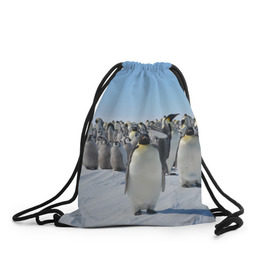 Рюкзак-мешок 3D с принтом Пингвины в Тюмени, 100% полиэстер | плотность ткани — 200 г/м2, размер — 35 х 45 см; лямки — толстые шнурки, застежка на шнуровке, без карманов и подкладки | пингвин