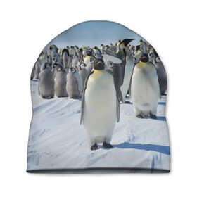 Шапка 3D с принтом Пингвины в Тюмени, 100% полиэстер | универсальный размер, печать по всей поверхности изделия | пингвин