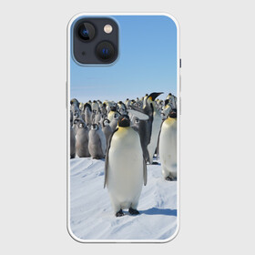 Чехол для iPhone 13 с принтом Пингвины в Тюмени,  |  | пингвин