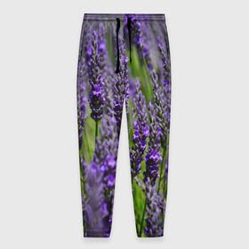 Мужские брюки 3D с принтом Лаванда в Тюмени, 100% полиэстер | манжеты по низу, эластичный пояс регулируется шнурком, по бокам два кармана без застежек, внутренняя часть кармана из мелкой сетки | зеленый | зелень | лаванда | лето | поле | природа | синий | цветы