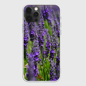 Чехол для iPhone 12 Pro Max с принтом Лаванда в Тюмени, Силикон |  | Тематика изображения на принте: зеленый | зелень | лаванда | лето | поле | природа | синий | цветы
