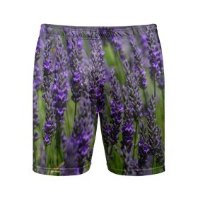 Мужские шорты 3D спортивные с принтом Лаванда в Тюмени,  |  | Тематика изображения на принте: зеленый | зелень | лаванда | лето | поле | природа | синий | цветы
