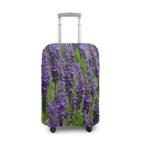 Чехол для чемодана 3D с принтом Лаванда в Тюмени, 86% полиэфир, 14% спандекс | двустороннее нанесение принта, прорези для ручек и колес | зеленый | зелень | лаванда | лето | поле | природа | синий | цветы