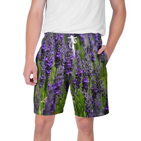 Мужские шорты 3D с принтом Лаванда в Тюмени,  полиэстер 100% | прямой крой, два кармана без застежек по бокам. Мягкая трикотажная резинка на поясе, внутри которой широкие завязки. Длина чуть выше колен | зеленый | зелень | лаванда | лето | поле | природа | синий | цветы