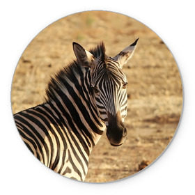 Коврик круглый с принтом Зебра в Тюмени, резина и полиэстер | круглая форма, изображение наносится на всю лицевую часть | африка | голова животного | зебра | лошадь | природа