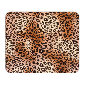 Коврик прямоугольный с принтом Леопардовая шкура в Тюмени, натуральный каучук | размер 230 х 185 мм; запечатка лицевой стороны | гепард | гламур | леопард | мода | роскошь | шерсть