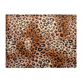 Обложка для студенческого билета с принтом Леопардовая шкура в Тюмени, натуральная кожа | Размер: 11*8 см; Печать на всей внешней стороне | гепард | гламур | леопард | мода | роскошь | шерсть
