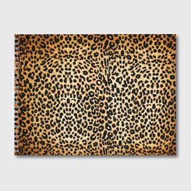 Альбом для рисования с принтом Гепард (шкура) в Тюмени, 100% бумага
 | матовая бумага, плотность 200 мг. | гепард | гламур | леопард | мода | пятна | роскошь | ткань | точки | шерсть