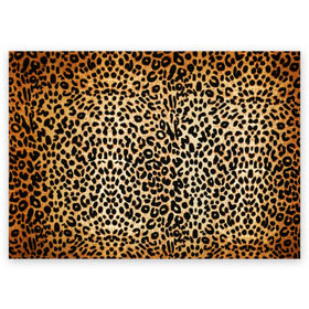Поздравительная открытка с принтом Гепард (шкура) в Тюмени, 100% бумага | плотность бумаги 280 г/м2, матовая, на обратной стороне линовка и место для марки
 | гепард | гламур | леопард | мода | пятна | роскошь | ткань | точки | шерсть