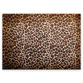 Поздравительная открытка с принтом Шкура гепарда в Тюмени, 100% бумага | плотность бумаги 280 г/м2, матовая, на обратной стороне линовка и место для марки
 | гепард | гламур | леопард | мода | пятна | роскошь | ткань | точки | шерсть