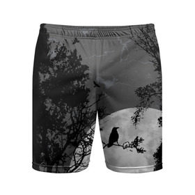 Мужские шорты 3D спортивные с принтом Черный ворон в Тюмени,  |  | ворон | луна | новинки | ночь | полнолуние | природа | птица