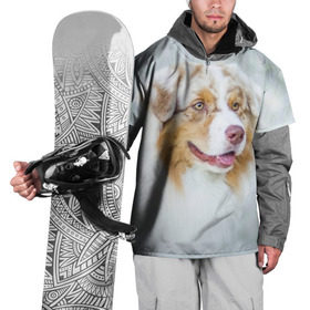 Накидка на куртку 3D с принтом Австралийская овчарка в Тюмени, 100% полиэстер |  | Тематика изображения на принте: австралийская овчарка | животные | природа | собака | щенок